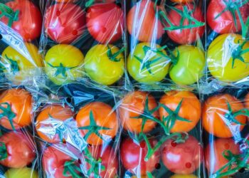 Francia prohíbe el uso del plástico para embalar frutas y verduras pequeñas