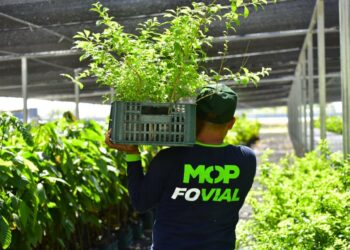 Programa MOP verde reducirá impacto ambiental de los proyectos viales