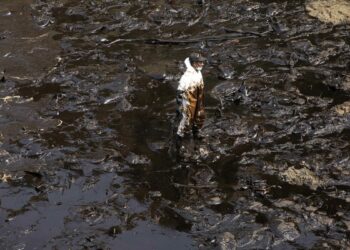 Derrame de petróleo: Gobierno peruano declara emergencia ambiental por 90 días en zonas afectadas