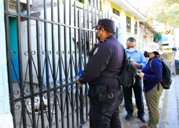 Autoridades multan a persona que fue denunciada de atropellar a un perrito en San Miguel