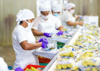 Ministerio de Economía lanza programa «Cultura de Calidad» en apoyo a PYMES salvadoreñas