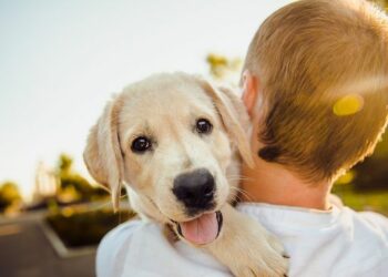 Ministro de Agricultura: “Esta ley reconoce a los animales como seres sintientes. Es un compromiso moral que teníamos con la población, con los animalistas’’