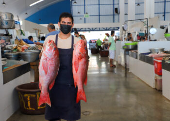 Agricultura inspecciona ventas de mariscos y comprueban buena cosecha de productos