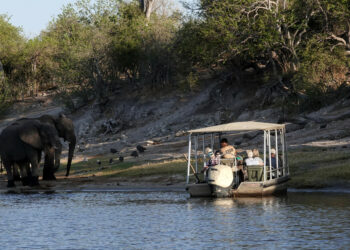 Acusan a un dentista en EE.UU. de matar a su esposa en un safari para reclamar millones de dólares a las aseguradoras