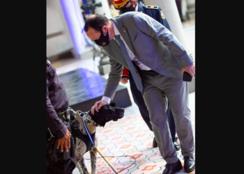 “Estamos comprometidos con cuidar la vida de los animales y a hacer cumplir la ley”: Gustavo Villatoro