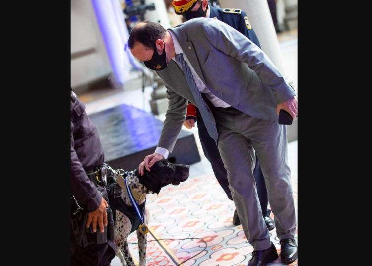 “Estamos comprometidos con cuidar la vida de los animales y a hacer cumplir la ley”: Gustavo Villatoro