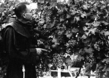 ¿Quién fue el padre Cosme Spessotto declarado beato de la iglesia católica y asesinado en El Salvador en 1980?