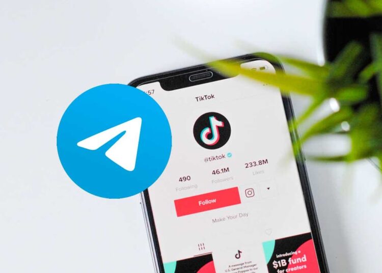 Con Telegram puede descargar videos de TikTok sin la marca de agua