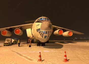 Rescatan a 304 perros y gatos abandonados en Afganistán a bordo de un avión ruso