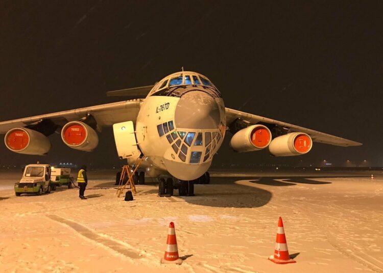 Rescatan a 304 perros y gatos abandonados en Afganistán a bordo de un avión ruso