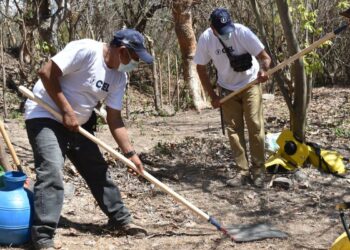 Guardarecursos de CEL redoblan esfuerzos ante la amenaza de incendios forestales