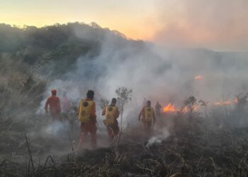 Bomberos sofocan incendio en terreno con maleza seca en La Libertad