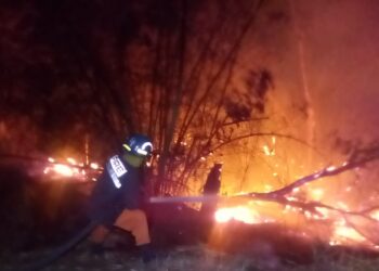 Bomberos sofocan incendio de maleza en carretera al puerto de La Libertad