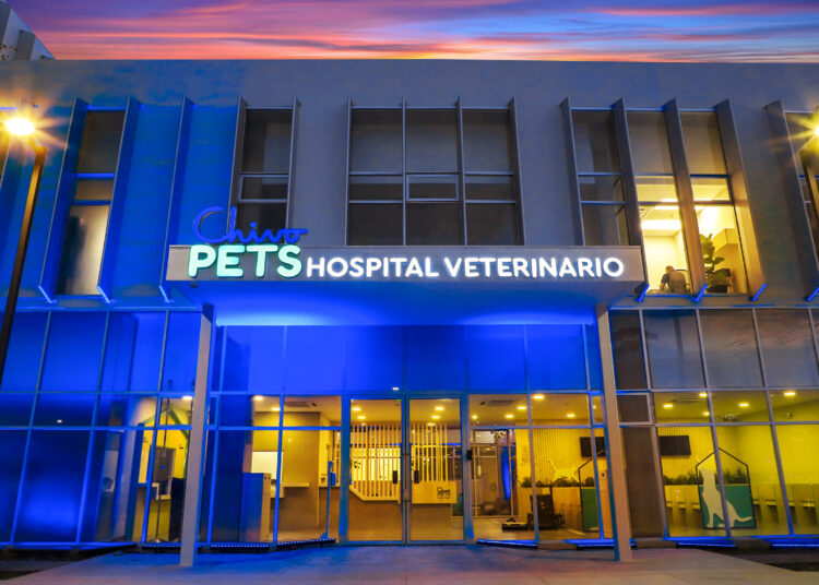 Chivo Pets: Todo esto es lo que tiene el primer hospital veterinario público de El Salvador