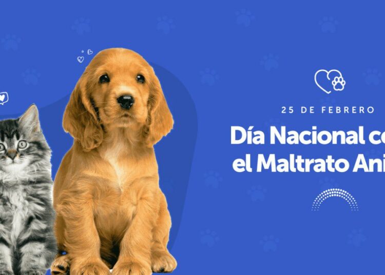 Legisladores declaran el 25 de febrero como Día Nacional contra el Maltrato Animal