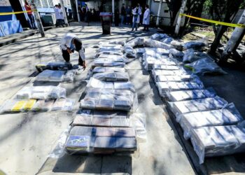 Autoridades de Seguridad destruyen más de 700 kilos de droga incautada entre junio 2021 a enero de 2022