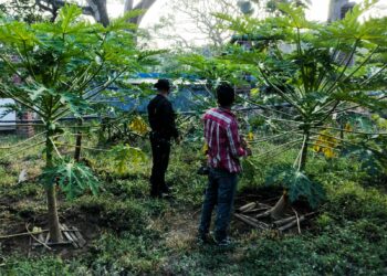 PNC Rural mantiene dispositivos en zonas agrícolas del país