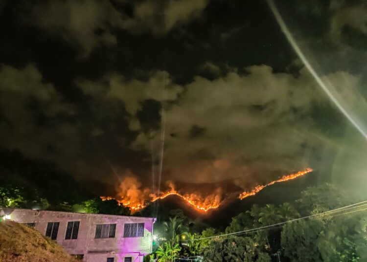 Bomberos sofocan fuerte incendio en cerro de Nejapa