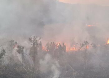 Protección Civil emite alerta roja a nivel nacional ante incremento de incendios forestales