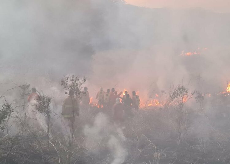 Protección Civil emite alerta roja a nivel nacional ante incremento de incendios forestales
