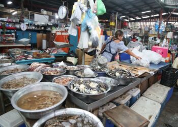 Realizan nuevas inspecciones sanitarias en mercados capitalinos ante veda de moluscos