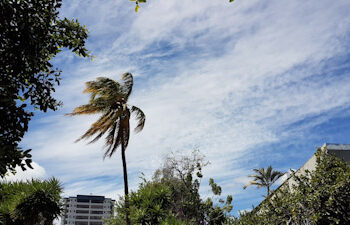 Los Vientos Nortes continuarán este martes informó el Ministerio de Medio Ambiente