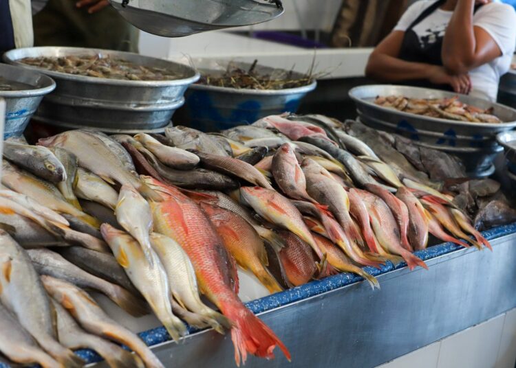 Autoridades inspeccionan cumplimiento de veda en ventas de mariscos tras alerta de marea roja
