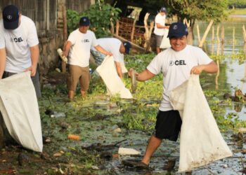 Más de 560 hectáreas de bosque son protegidas por CEL para su preservación