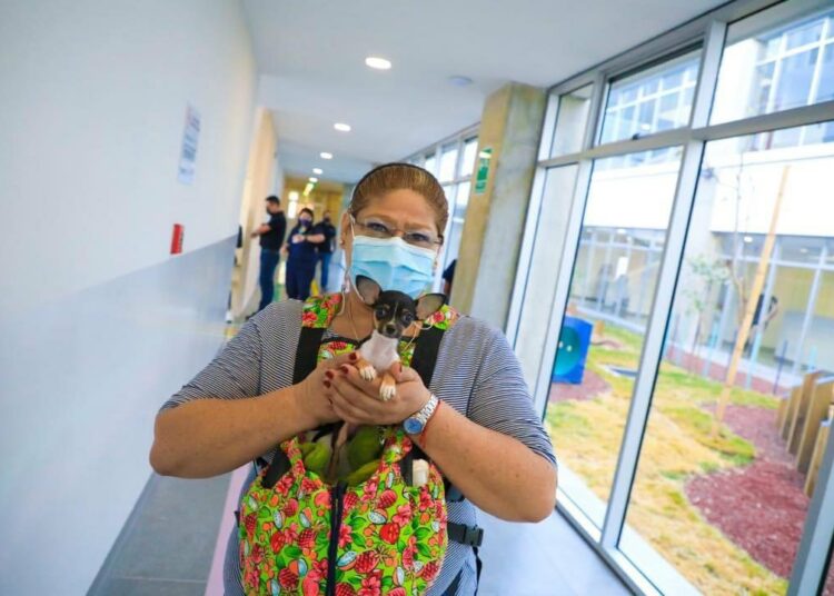 Hospital Veterinario Chivo atendió este sábado a sus primeros pacientes