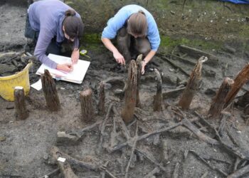 Arqueólogos británicos descubren un taller de plata posiblemente ilegal en una antigua mansión de la época romana