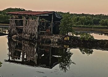 PNC localiza campamento de mareros donde se recuperaban de heridas de bala