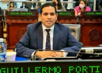 Diputado suplente de ARENA afirma que Portillo Cuadra quiere tomar el control del partido y le ordenó atacar al Presidente de la República