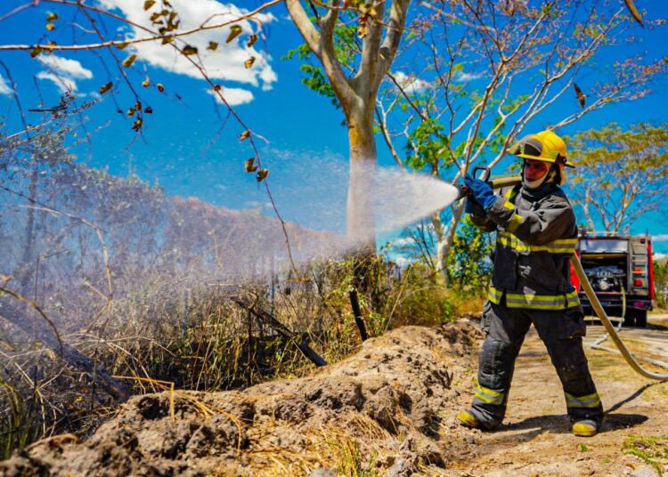 Asciende a 37 el número de incendios atendidos durante el fin de semana