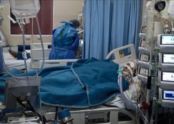 La OMS alerta de aumento en número de muertes por COVID-19 en el último mes