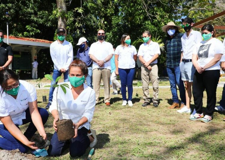 Instituciones de Gobierno incorporan la protección del medio ambiente a través de diferentes programas
