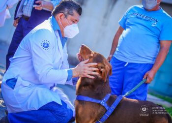 Ministerio de Salud lanza plan de vacunación antirrábica para mascotas caninas y felinas