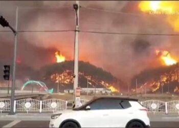 Un fuerte incendio forestal cerca de una planta nuclear obliga a miles de personas a huir de sus hogares en Corea del Sur