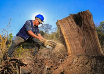 CEL generará más de mil empleos para la construcción de puentes en el oriente del país