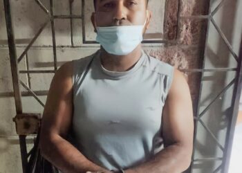 Destazador de caballos es enviado a prisión por el delito de maltrato animal