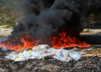 Autoridades de Seguridad destruyen droga valorada en $13.8 millones