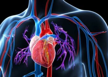 La inteligencia artificial puede predecir tu próximo infarto