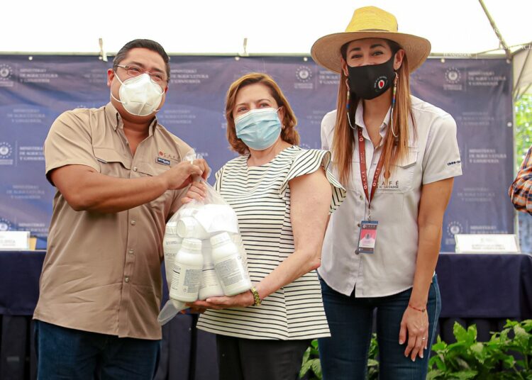 Ministerio de Agricultura inicia entrega de fertilizantes foliares a productores de café en Ahuachapán