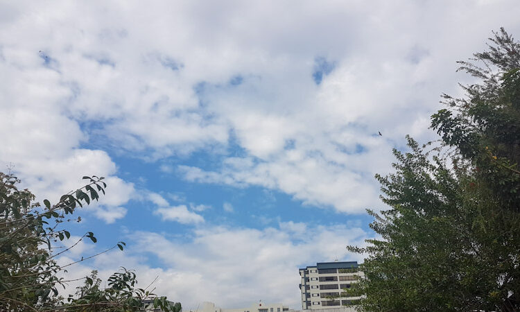 Ambiente muy cálido para este martes informó el Ministerio de Medio Ambiente