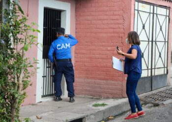 Responsable de abandonar a un perrito en plena carretera es multado con $1,460