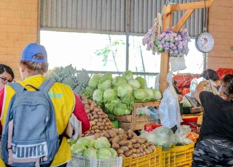 Medidas del Gobierno ante la inflación ha evitado alzas en precios de frutas y verduras