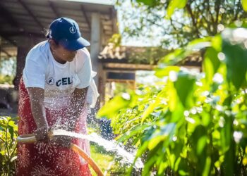 CEL: “Ellas son las mujeres que transforman a El Salvador”