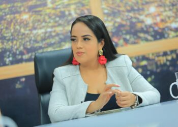 Diputadas afirman que la Ley para una Vida Libre de Violencia para la Mujer cuenta con «demasiados vacíos jurídicos»