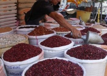 MAG se reúne con productores de granos básicos en busca de regular aumento de insumos agrícolas