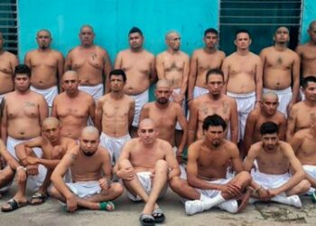 Cabecillas de pandillas y sus financistas serán sancionados hasta con 45 años de prisión