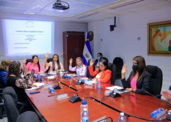 Comisión acuerda emitir pronunciamiento por la conmemoración del Día Internacional de la Mujer